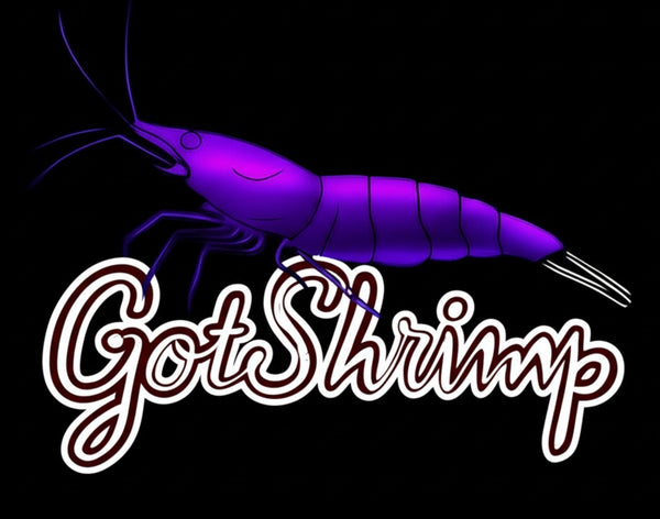 Got Shrimp